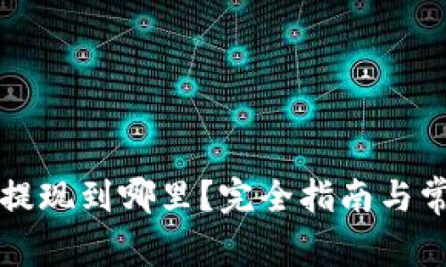 : TPWallet提现到哪里？完全指南与常见问题解答