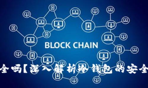 冷钱包安全吗？深入解析冷钱包的安全性与风险