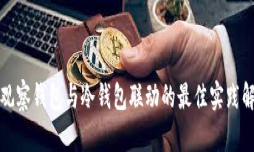 TP观察钱包与冷钱包联动的最佳实践解析