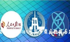 如何处理TPWallet重新下载后