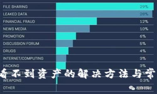 :TPWallet看不到资产的解决方法与常见问题解析