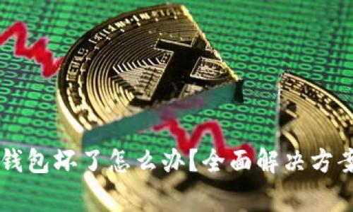 Ledger硬件钱包坏了怎么办？全面解决方案与处理步骤