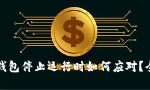 比特币冷钱包停止运行时如何应对？全攻略详解