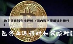 比特币冷钱包停止运行时如何应对？全攻略详解