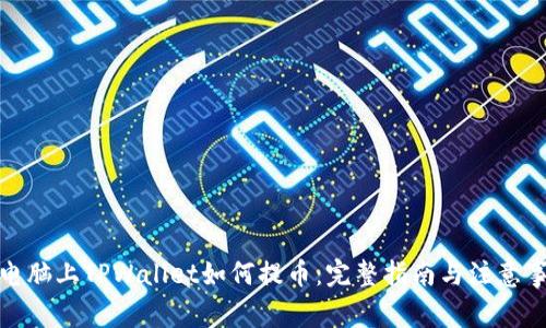 在电脑上TPWallet如何提币：完整指南与注意事项