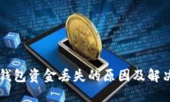 TPWallet钱包资金丢失的原因及解决方法详解