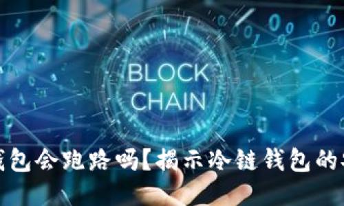 区块链冷链钱包会跑路吗？揭示冷链钱包的安全性与风险