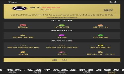 小抱枕冷钱包：生活中的温暖伴侣与实用储物神器