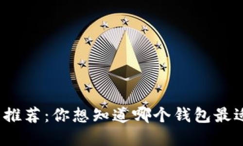 数字钱包推荐：你想知道哪个钱包最适合你吗？