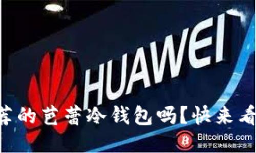 “想知道最推荐的芭蕾冷钱包吗？快来看看这些排行！”