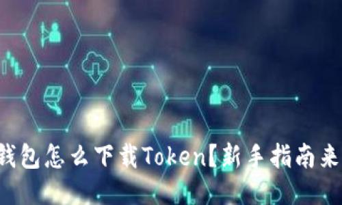冷钱包怎么下载Token？新手指南来啦！