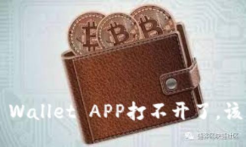 我的TP Wallet APP打不开了，该怎么办？