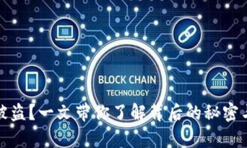 库神钱包被盗？一文带你了解背后的秘密与安全措施