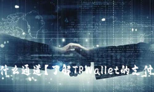 TPWallet用的是什么通道？了解TPWallet的支付方式与技术基础！