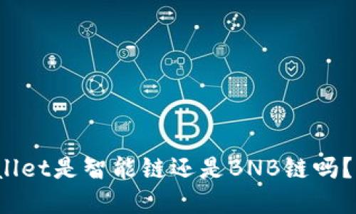 你知道tpwallet是智能链还是BNB链吗？快来看看吧！