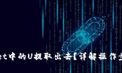 如何将TPWallet中的U提取出去？详解操作步骤与注意事项