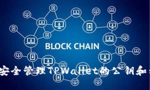如何安全管理TPWallet的公钥和私钥？