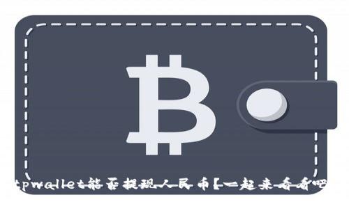 tpwallet能否提现人民币？一起来看看吧！