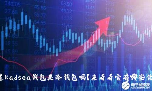 你知道Kadsea钱包是冷钱包吗？来看看它有哪些优缺点！