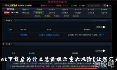 tpwallet下载后为什么总是提示重大风险？让我们来聊聊！