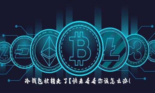 冷钱包被转走了？快来看看你该怎么办！