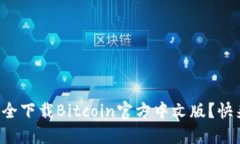 如何安全下载Bitcoin官方中