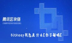 BitKeep钱包是什么？你了解吗？