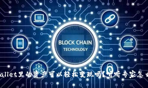 tpwallet里的资产可以轻松变现吗？听听专家怎么说！