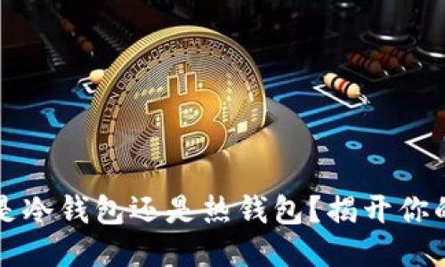 token.im钱包是冷钱包还是热钱包？揭开你的币安工具面纱