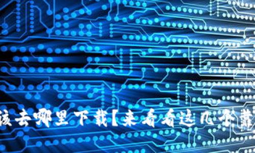 比特币钱包该去哪里下载？来看看这几个靠谱的平台吧！