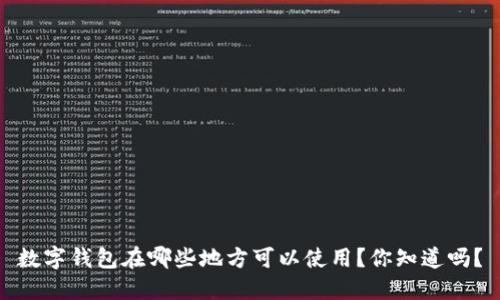 数字钱包在哪些地方可以使用？你知道吗？