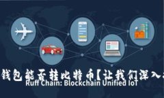 “以太坊冷钱包能否转比特币？让我们深入探讨