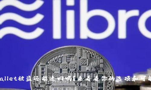 tpwallet被盗还能追回吗？来看看你的选项和可能性！