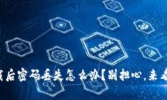 tpwallet卸载后密码丢失怎么