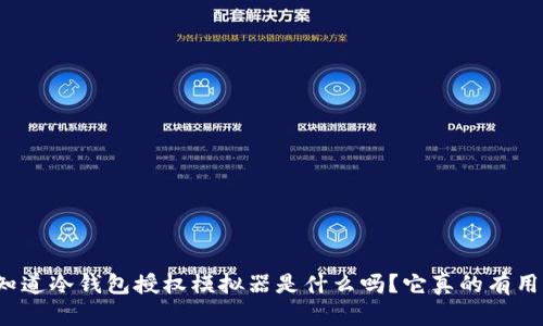 你知道冷钱包授权模拟器是什么吗？它真的有用吗？