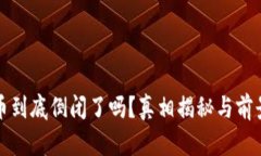 波场币到底倒闭了吗？真