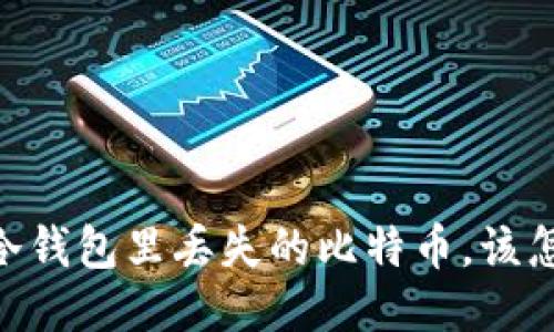 哎呀！冷钱包里丢失的比特币，该怎么办？