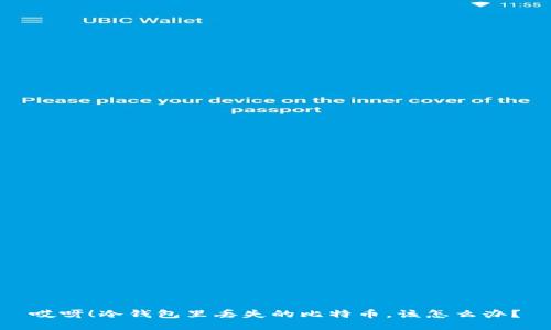 哎呀！冷钱包里丢失的比特币，该怎么办？