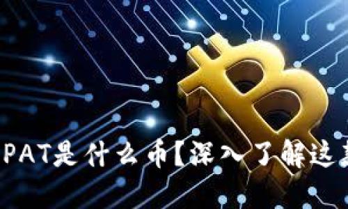 冷钱包里的PAT是什么币？深入了解这款数字货币！