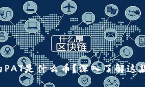 冷钱包里的PAT是什么币？深入了解这款数字货币！