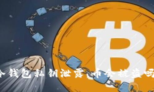 冷钱包私钥泄露，币会被盗吗？