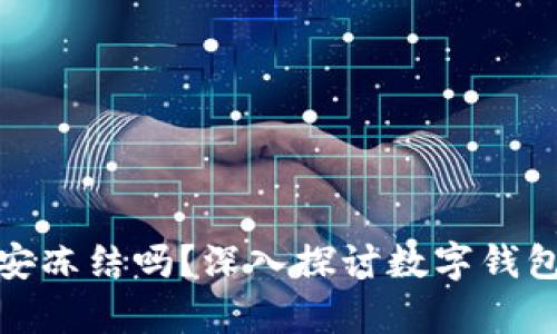 tpwallet会被公安冻结吗？深入探讨数字钱包的安全性和风险