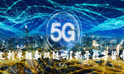 冷钱包可以同时支持单链和双链吗？揭开数字货币安全的神秘面纱