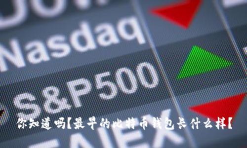 你知道吗？最早的比特币钱包长什么样？