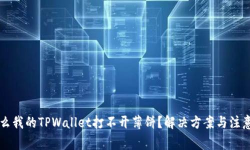 为什么我的TPWallet打不开薄饼？解决方案与注意事项