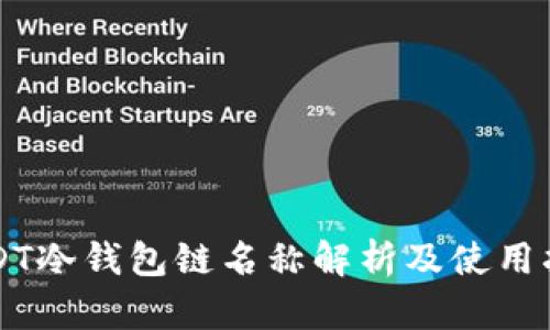 USDT冷钱包链名称解析及使用指南