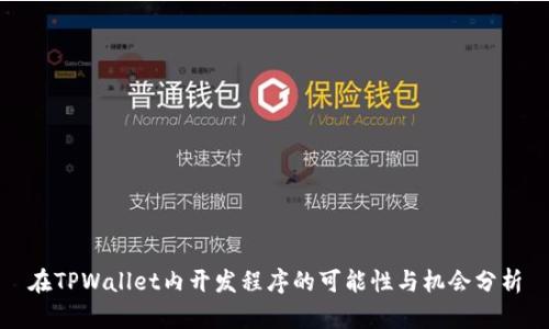 在TPWallet内开发程序的可能性与机会分析