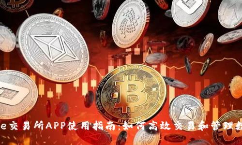 Binance交易所APP使用指南：如何高效交易和管理数字资产