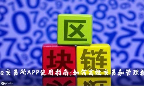 Binance交易所APP使用指南：如何高效交易和管理数字资产