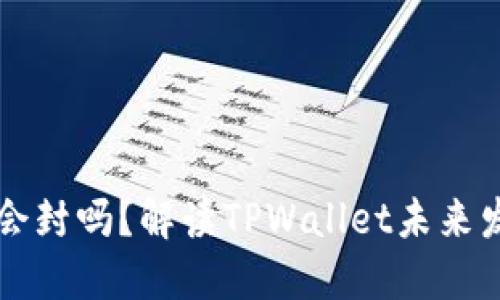 TPWallet年底会封吗？解读TPWallet未来发展及用户建议